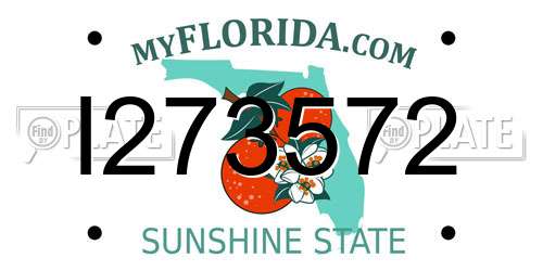 I273572 Florida License Plate