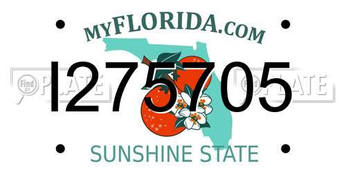 I275705 Florida License Plate