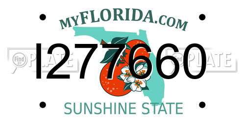I277660 Florida License Plate