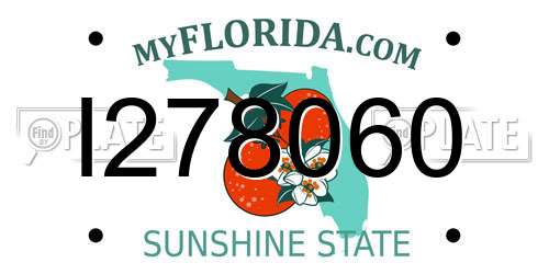 I278060 Florida License Plate