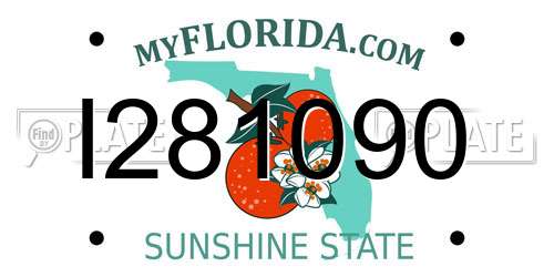 I281090 Florida License Plate