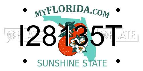 I28135T Florida License Plate
