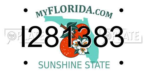 I281383 Florida License Plate