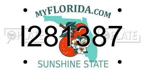 I281387 Florida License Plate