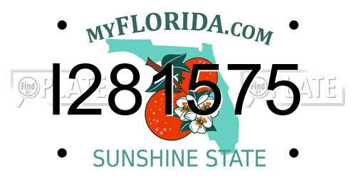I281575 Florida License Plate