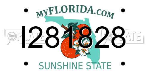 I281828 Florida License Plate