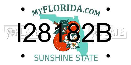 I28182B Florida License Plate