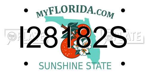 I28182S Florida License Plate