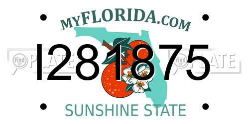 I281875 Florida License Plate