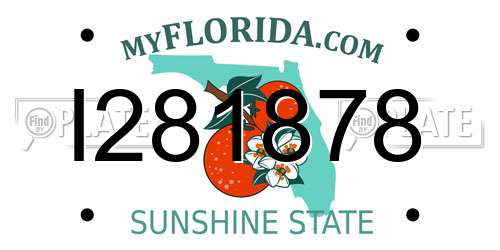 I281878 Florida License Plate