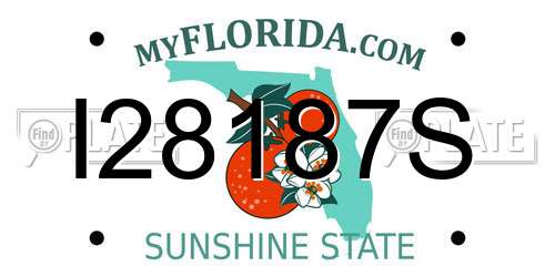 I28187S Florida License Plate