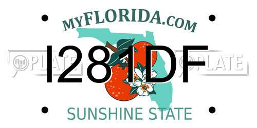 I281DF Florida License Plate
