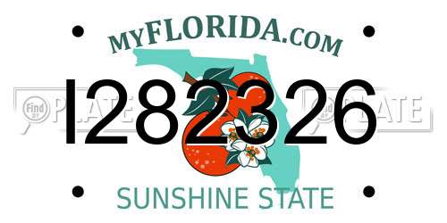 I282326 Florida License Plate