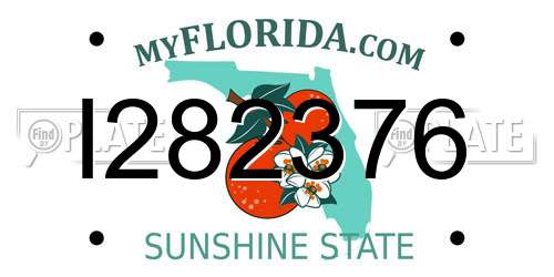 I282376 Florida License Plate