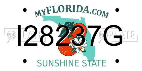 I28237G Florida License Plate
