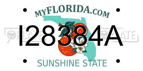 I28384A Florida License Plate