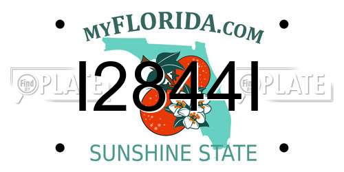 I2844I Florida License Plate