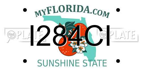 I284CI Florida License Plate