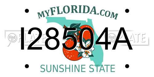 I28504A Florida License Plate