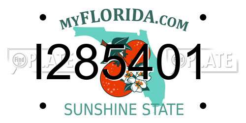 I285401 Florida License Plate