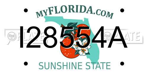 I28554A Florida License Plate