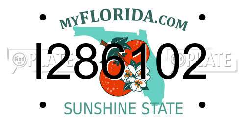 I286102 Florida License Plate