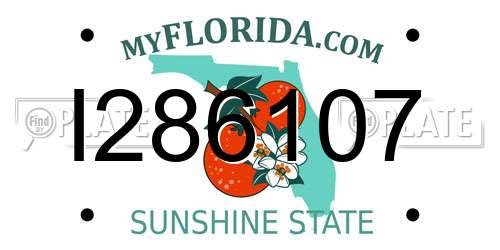 I286107 Florida License Plate