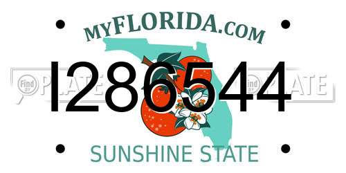 I286544 Florida License Plate