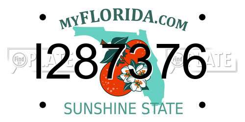 I287376 Florida License Plate