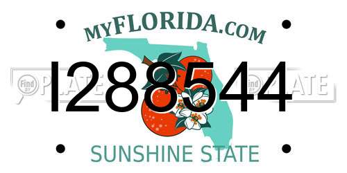 I288544 Florida License Plate