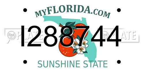I288744 Florida License Plate