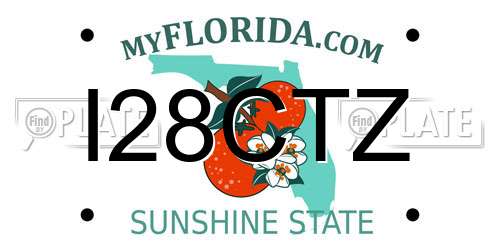 I28CTZ Florida License Plate