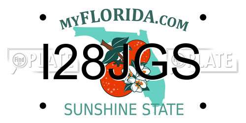 I28JGS Florida License Plate