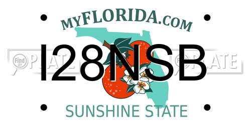 I28NSB Florida License Plate