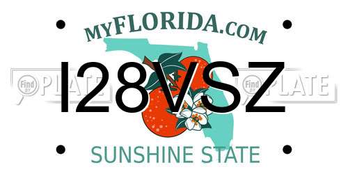 I28VSZ Florida License Plate