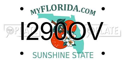 I290OV Florida License Plate