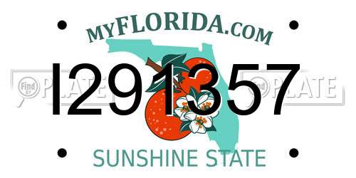 I291357 Florida License Plate