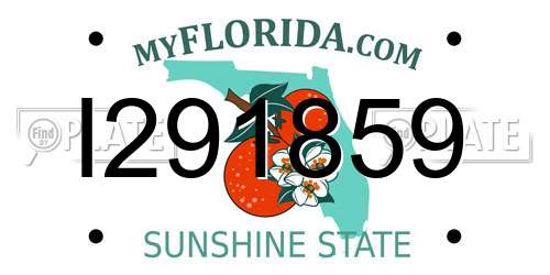 I291859 Florida License Plate