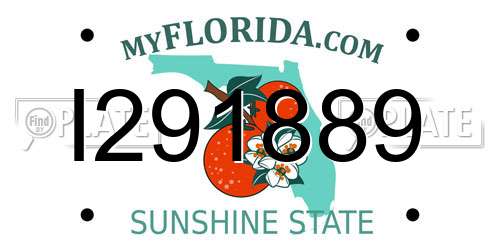 I291889 Florida License Plate