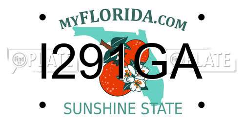 I291GA Florida License Plate