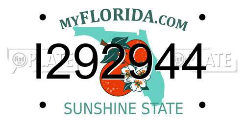 I292944 Florida License Plate