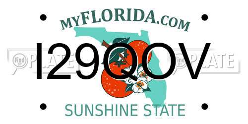 I29QOV Florida License Plate