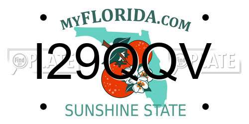 I29QQV Florida License Plate