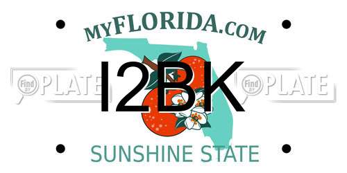 I2BK Florida License Plate