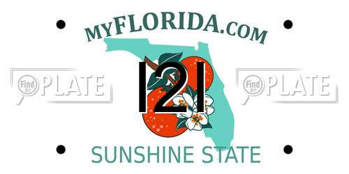 I2I Florida License Plate