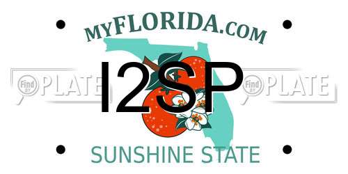 I2SP Florida License Plate