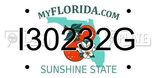 I30232G Florida License Plate