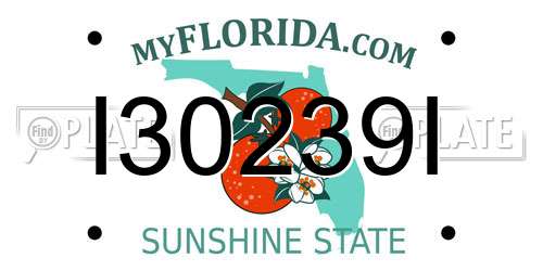 I30239I Florida License Plate