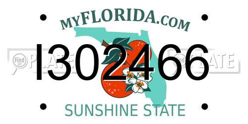 I302466 Florida License Plate
