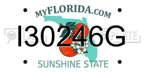 I30246G Florida License Plate